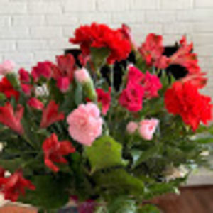 Meet your Posher, Pat